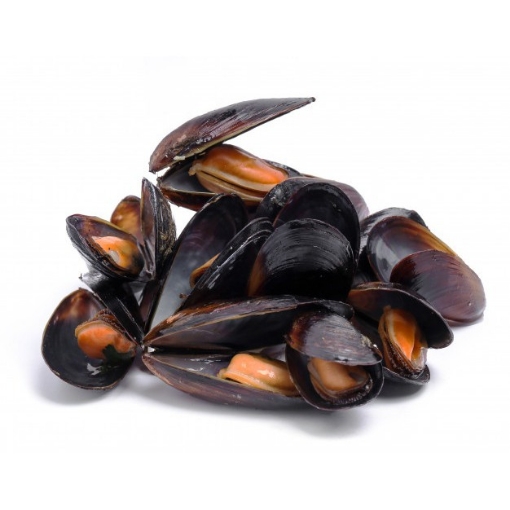 Picture of LOCAL MUSSELS XLARGE
